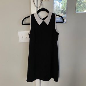 Ann Taylor mini dress with point collar